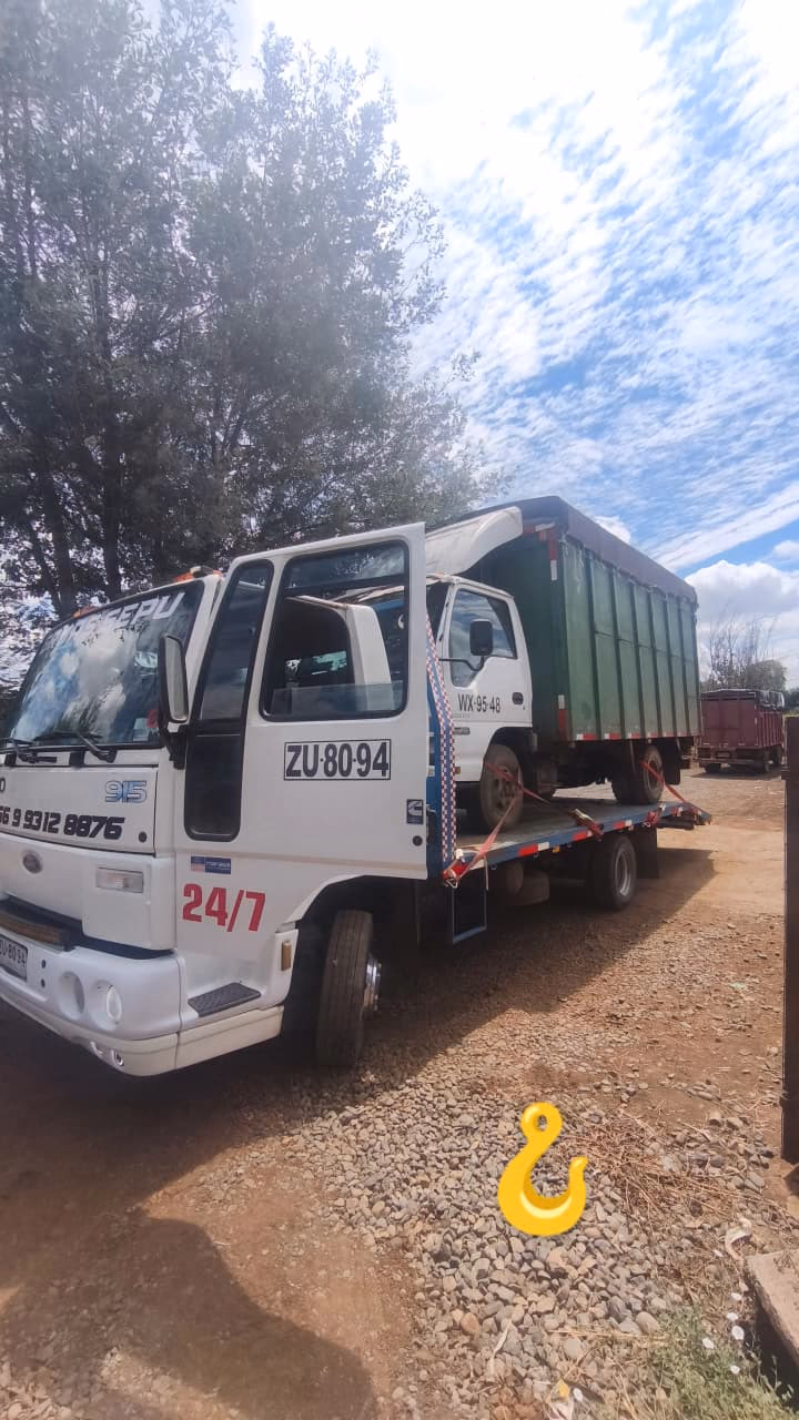 Grúa Sepu — grua cargando camion
